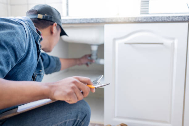 Best Leak Detection Services  in Homer, IL