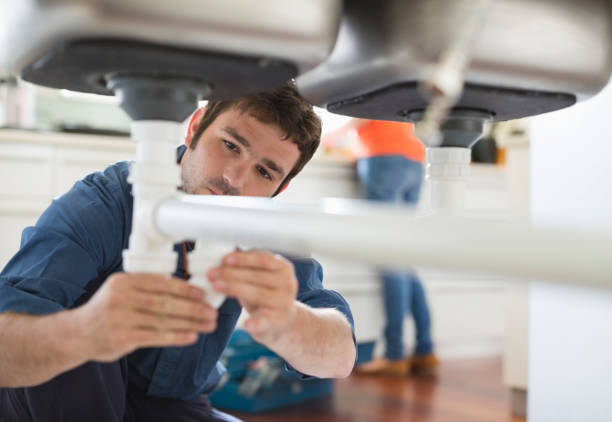 Best Plumbing Services Near Me  in Homer, IL