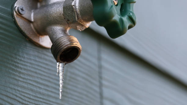 Best Emergency Plumber  in Homer, IL